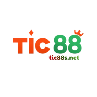 tic88snet