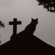StainlessMoon