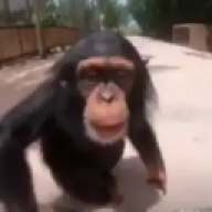 klapek