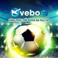 veboziicc
