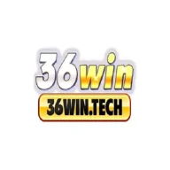 36wintech
