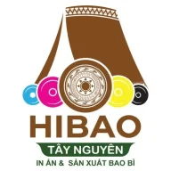hibaotaynguyen