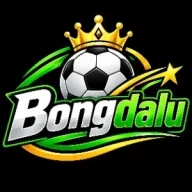 bongdaluvipvoto